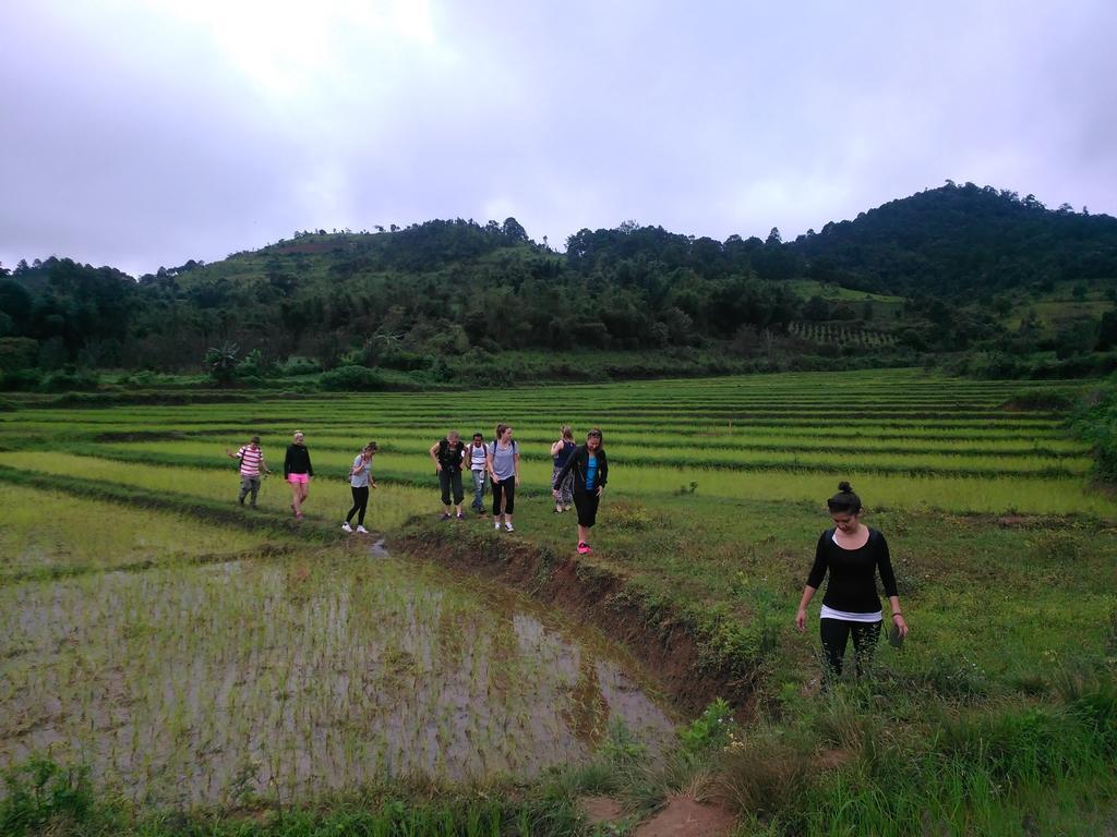 Auberge de jeunesse @ Golden Kalaw